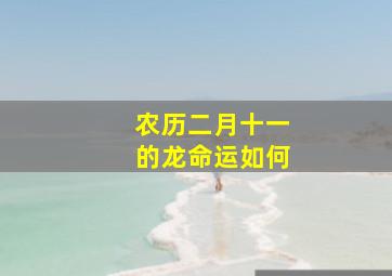 农历二月十一的龙命运如何