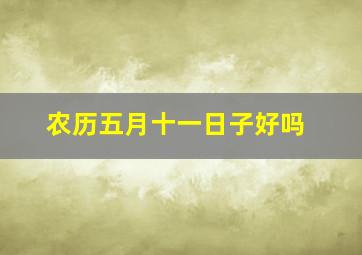 农历五月十一日子好吗