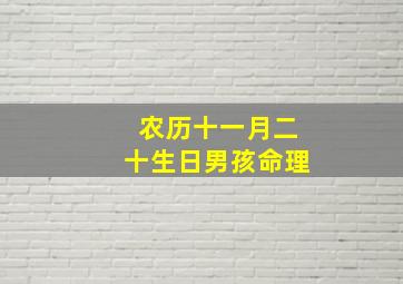 农历十一月二十生日男孩命理