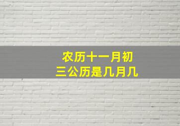 农历十一月初三公历是几月几