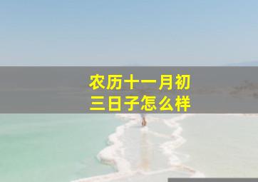 农历十一月初三日子怎么样