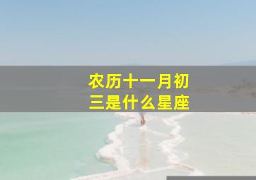 农历十一月初三是什么星座