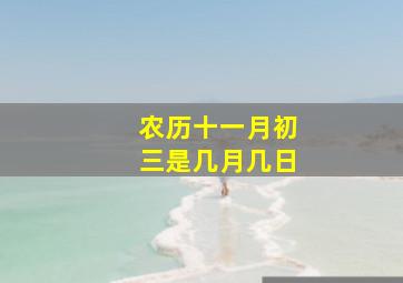 农历十一月初三是几月几日