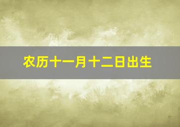 农历十一月十二日出生