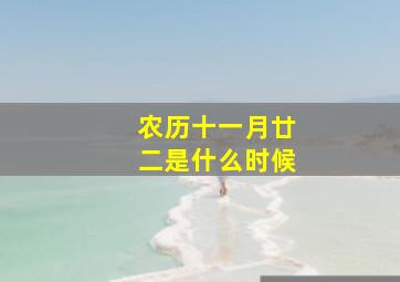 农历十一月廿二是什么时候