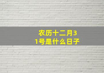 农历十二月31号是什么日子