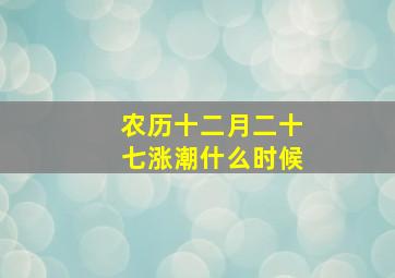 农历十二月二十七涨潮什么时候