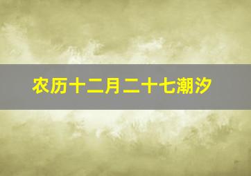 农历十二月二十七潮汐