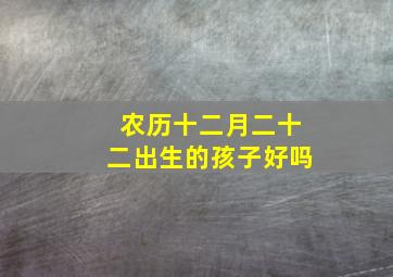 农历十二月二十二出生的孩子好吗