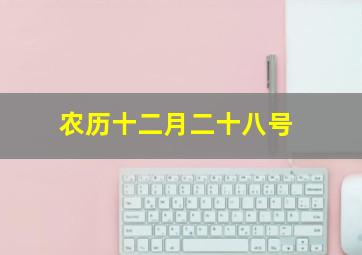 农历十二月二十八号