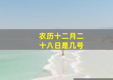 农历十二月二十八日是几号