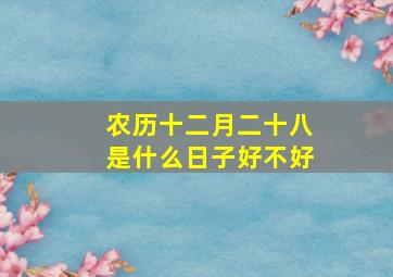 农历十二月二十八是什么日子好不好