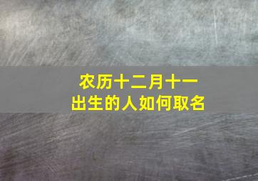 农历十二月十一出生的人如何取名