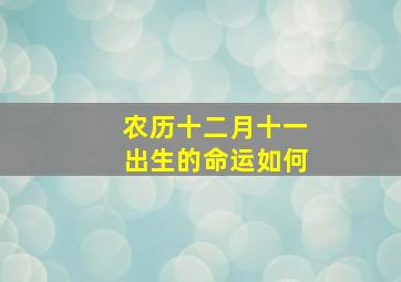 农历十二月十一出生的命运如何