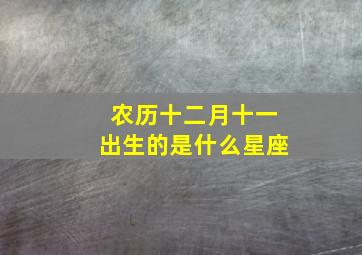 农历十二月十一出生的是什么星座