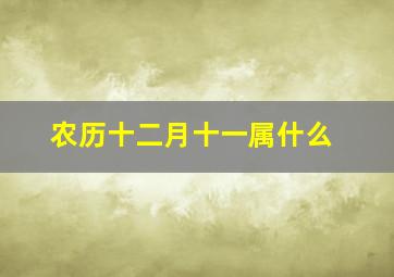 农历十二月十一属什么