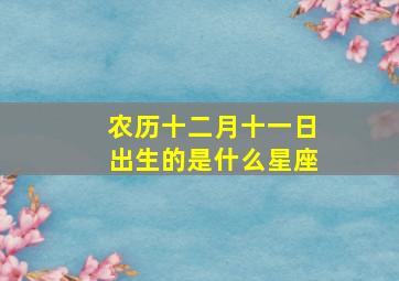 农历十二月十一日出生的是什么星座