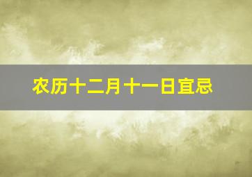 农历十二月十一日宜忌