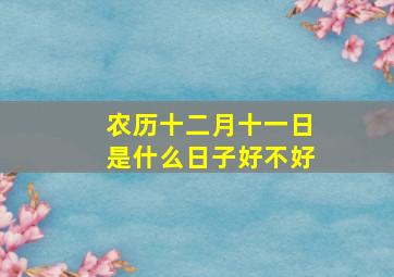 农历十二月十一日是什么日子好不好