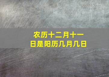 农历十二月十一日是阳历几月几日