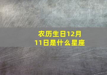 农历生日12月11日是什么星座