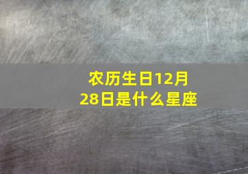 农历生日12月28日是什么星座