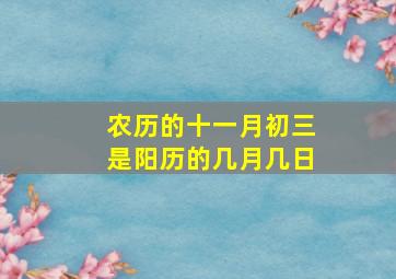 农历的十一月初三是阳历的几月几日