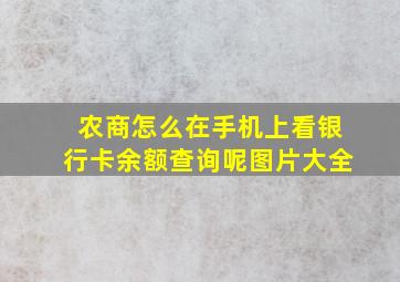 农商怎么在手机上看银行卡余额查询呢图片大全