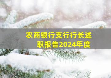 农商银行支行行长述职报告2024年度