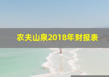 农夫山泉2018年财报表