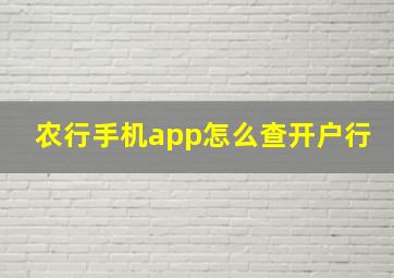 农行手机app怎么查开户行