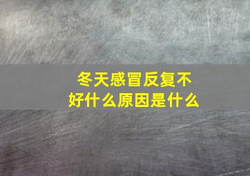 冬天感冒反复不好什么原因是什么