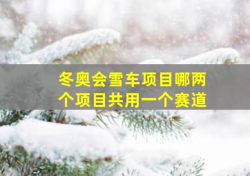 冬奥会雪车项目哪两个项目共用一个赛道