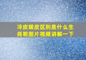 冷皮暖皮区别是什么生肖呢图片视频讲解一下