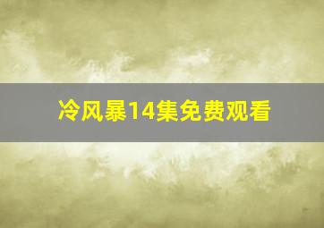 冷风暴14集免费观看