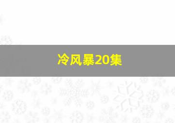 冷风暴20集