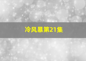 冷风暴第21集