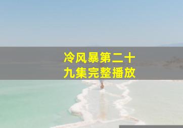 冷风暴第二十九集完整播放