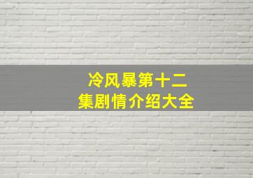 冷风暴第十二集剧情介绍大全