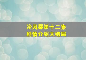 冷风暴第十二集剧情介绍大结局