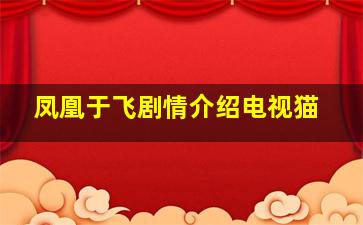 凤凰于飞剧情介绍电视猫