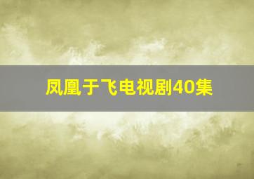 凤凰于飞电视剧40集