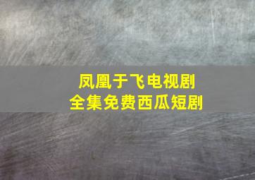 凤凰于飞电视剧全集免费西瓜短剧