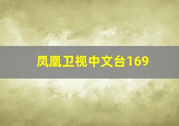 凤凰卫视中文台169