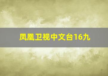 凤凰卫视中文台16九