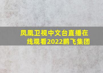 凤凰卫视中文台直播在线观看2022鹏飞集团