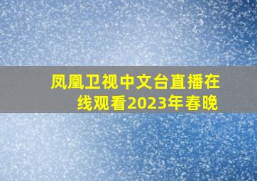 凤凰卫视中文台直播在线观看2023年春晚