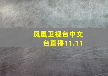 凤凰卫视台中文台直播11.11