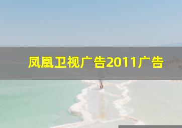 凤凰卫视广告2011广告