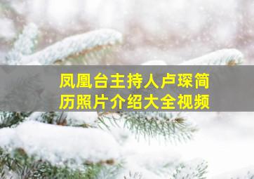 凤凰台主持人卢琛简历照片介绍大全视频